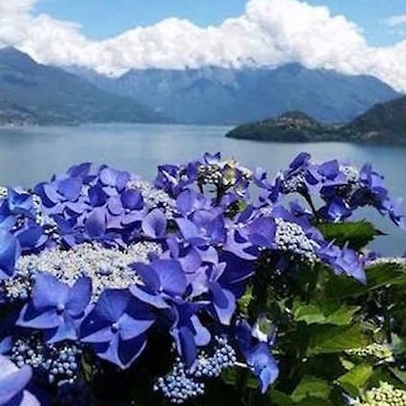 Pianello Del Lario Agriturismo Piccolo Paradiso מראה חיצוני תמונה