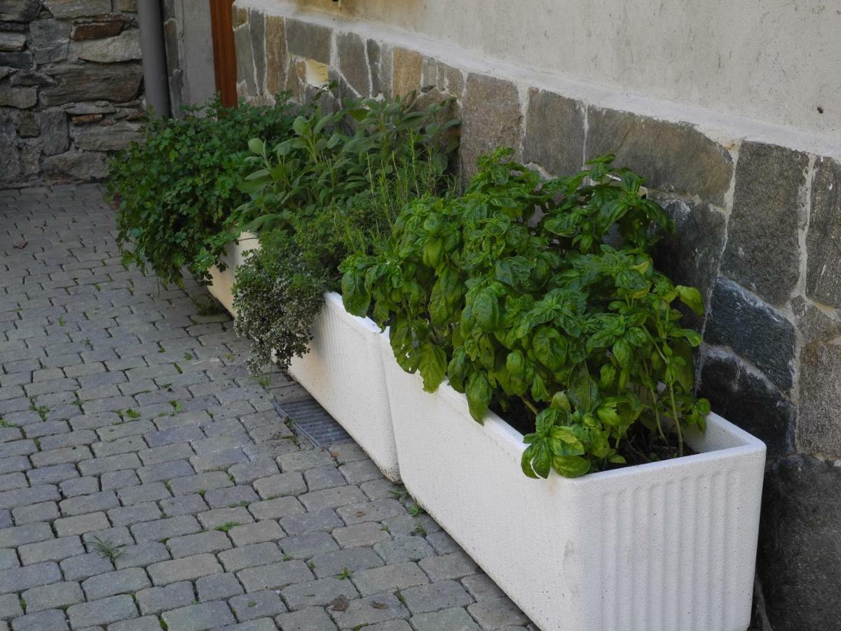 Pianello Del Lario Agriturismo Piccolo Paradiso מראה חיצוני תמונה