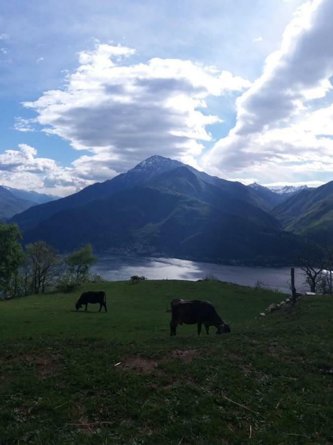 Pianello Del Lario Agriturismo Piccolo Paradiso מראה חיצוני תמונה