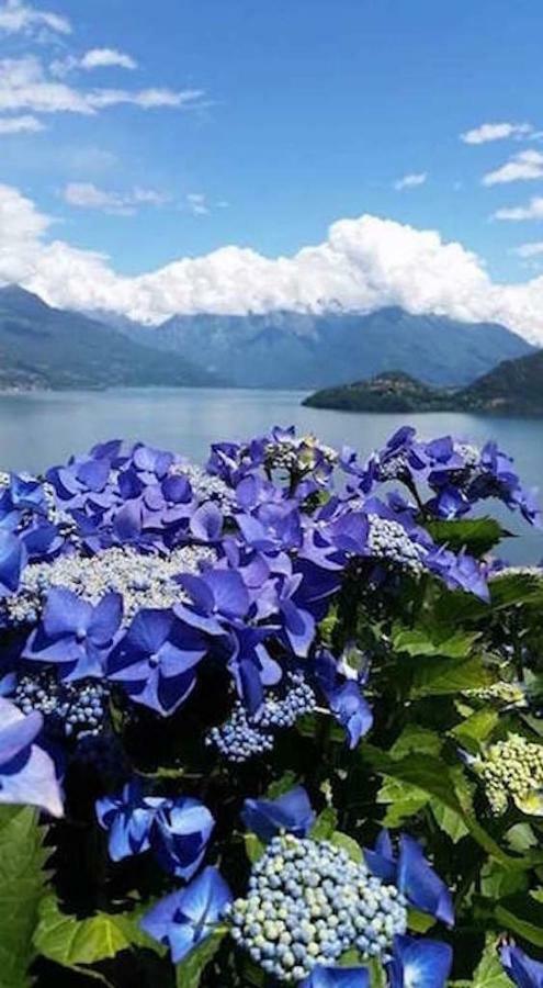 Pianello Del Lario Agriturismo Piccolo Paradiso מראה חיצוני תמונה