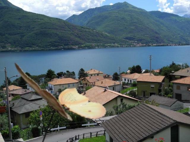 Pianello Del Lario Agriturismo Piccolo Paradiso מראה חיצוני תמונה