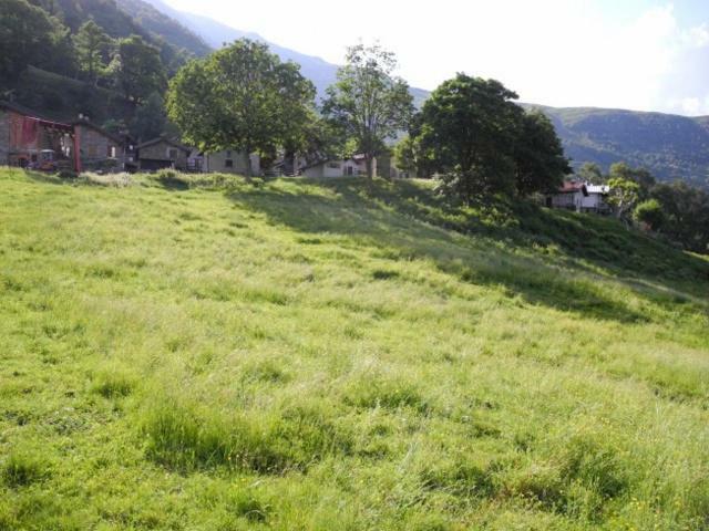 Pianello Del Lario Agriturismo Piccolo Paradiso מראה חיצוני תמונה