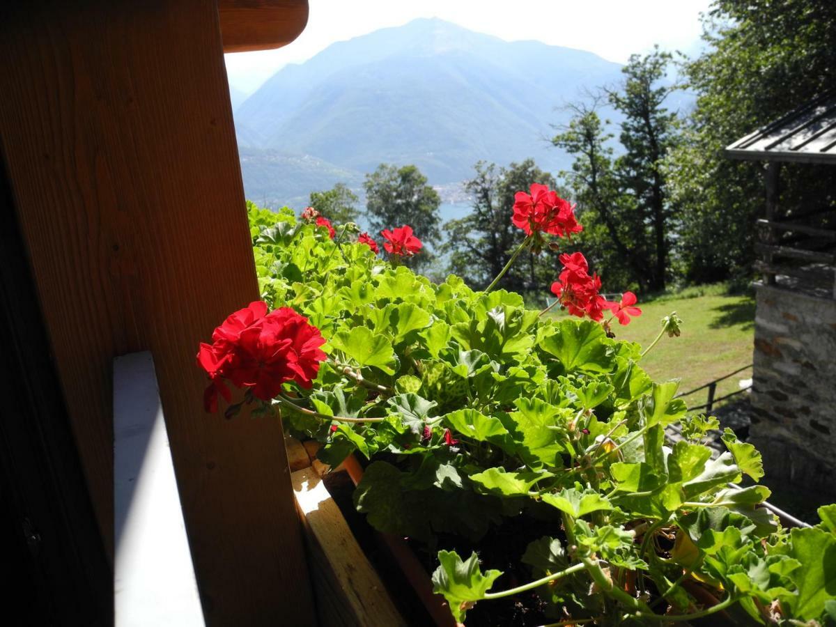 Pianello Del Lario Agriturismo Piccolo Paradiso מראה חיצוני תמונה