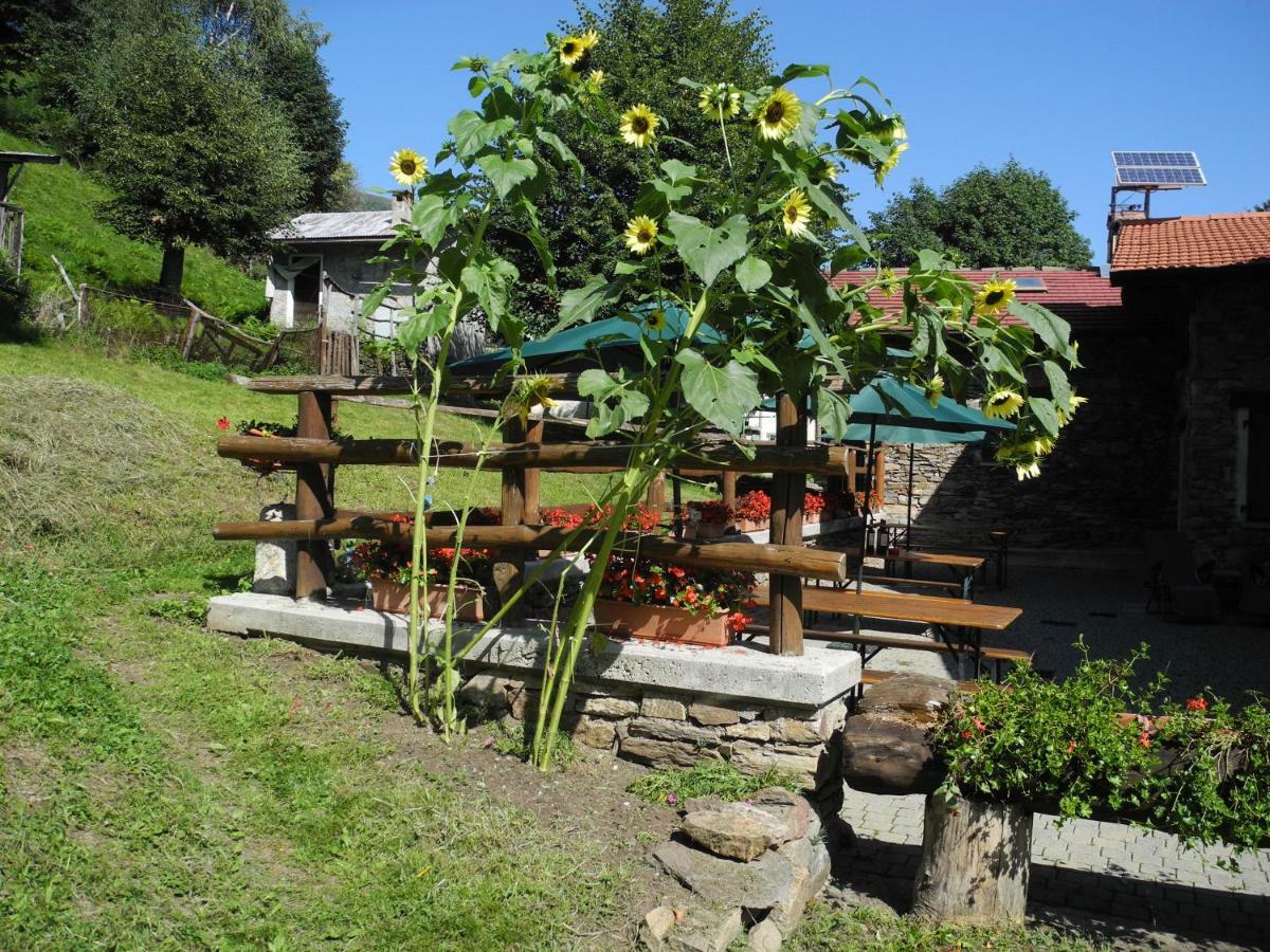 Pianello Del Lario Agriturismo Piccolo Paradiso מראה חיצוני תמונה